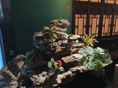 -佬麻雀·新湘菜(珠海金发购物中心店)