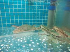 -白仁仔· 活烤海鲜 宵夜(豫园店)