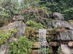 -广州神农草堂中医药博物馆