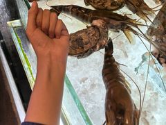 -Ministry of Crab(科伦坡店)