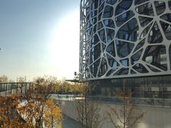 -首都医科大学附属北京天坛医院