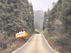 -武陵山森林公园