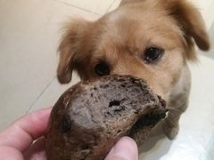 -BOKE博稞烘焙(天佑城店)
