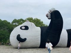 -苏州太湖国家湿地公园