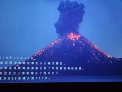 -贝林大翅鲸简餐厅(国家海洋博物馆店)