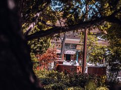 -西安大兴善寺