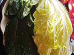 -芦月轩羊蝎子(北蜂窝店)