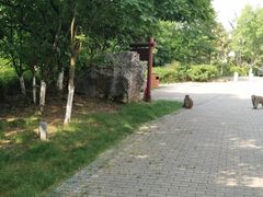 -苏州环秀晓筑养生度假村