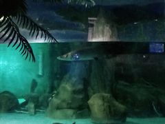 -常州海昌海洋探索馆