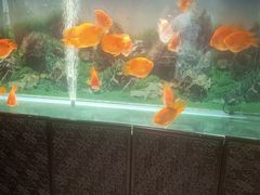 -华夏良子·足道SPA艾灸(王府井店)