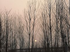 -华晨宝马铁西工厂