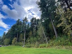 -五营红松林海景区