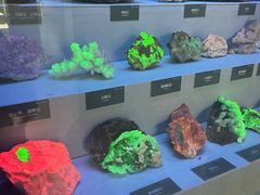 -湖南省地质博物馆