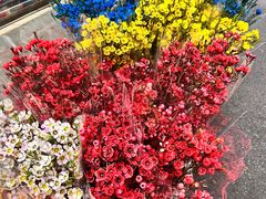 -循礼门鲜花花市(武汉循礼门店)