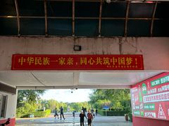 -布尔津河堤夜市