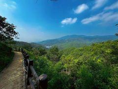 -北京西山国家森林公园