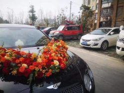 -蚂蚁婚车
