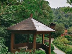 -云溪植物园