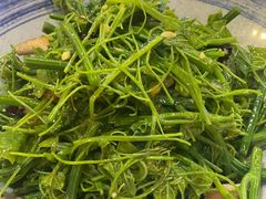 丝瓜尖儿-渔娘渔家丹东海鲜(东直门店)