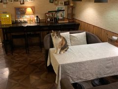 -隅cafe(傅厚岗店)