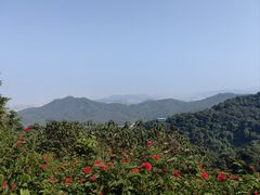 -广州市白云山风景名胜区