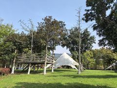 -宁波九龙湖开元度假村