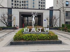 -关山草原