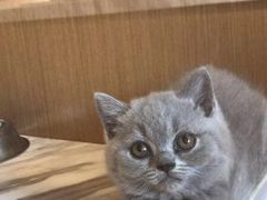 -悠尼宠物·独立低压伊珊娜洗护·美容·寄养(兰谷路店)