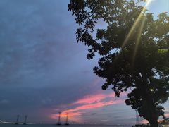 -宝安西湾红树林湿地公园