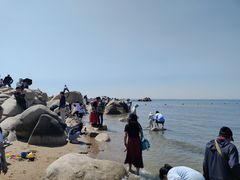 -老虎石海上公园