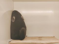 -龙猫仔乐园(惠福东路店)