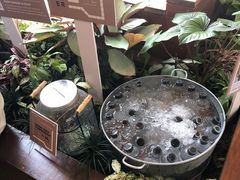 -ROAST coffee & eatery