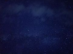 -武陵山森林公园