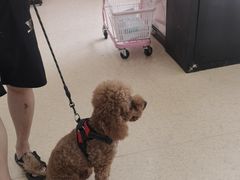 -芭比堂爱心动物医院(柯桥康爱分院)