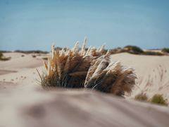 -库伦旗银沙湾旅游景区