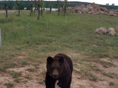 -鄂尔多斯野生动物园