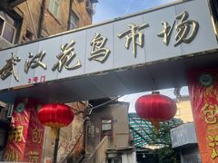 -武汉花鸟市场