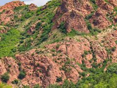 -红山国家森林公园