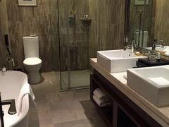 环球恐龙城维景国际大酒店-常州环球恐龙城维景国际大酒店