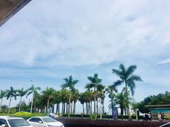 -国际邮轮中心码头(厦鼓码头)