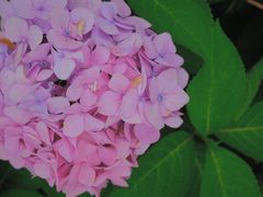 -金银湖国家城市湿地公园