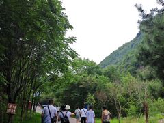 -少华山国家森林公园