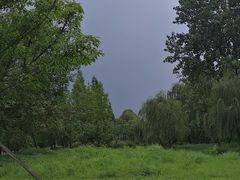-两河城市森林公园