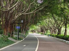 -南宁南湖公园