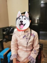 -盘子女人坊古装写真摄影(天津总店)