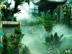 -东莞植物园