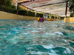 -上海玛雅海滩水公园