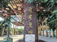 -西双版纳傣族园