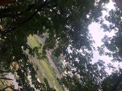 -恩阳古镇