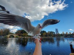 -必胜客(玉泉远洋店)